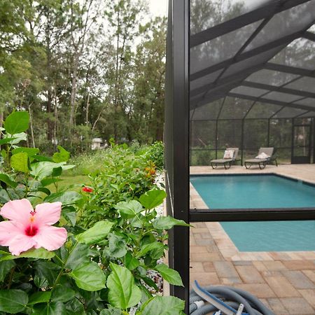 Pet-Friendly, Heated Pool, Close To Everything 3 Bedroom Home دونيلون المظهر الخارجي الصورة