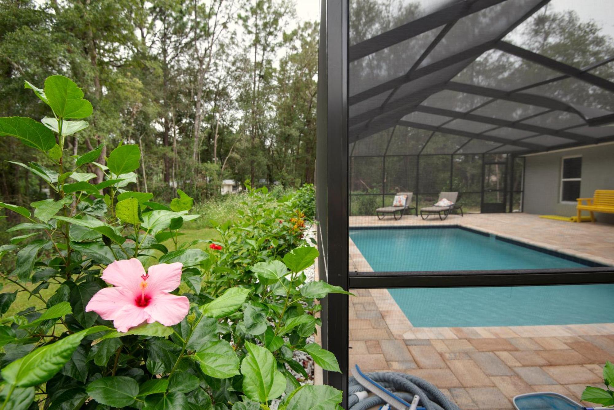 Pet-Friendly, Heated Pool, Close To Everything 3 Bedroom Home دونيلون المظهر الخارجي الصورة